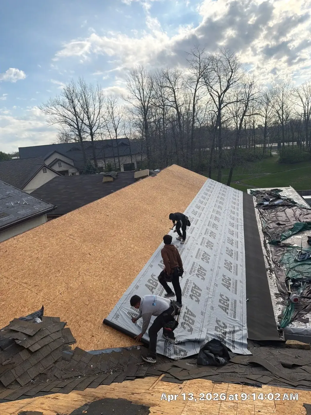 Tarping and dry-in on a Mulberry commercial roof